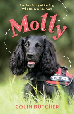 Molly: The True Story of the Dog Who Rescues Lost Cats Cover Image