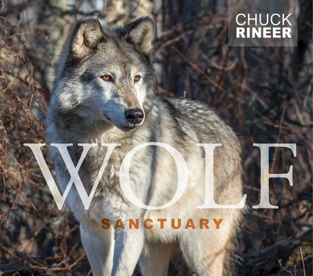 Wolf Sanctuary: The Wolves of Speedwell Forge By Chuck Rineer Cover Image
