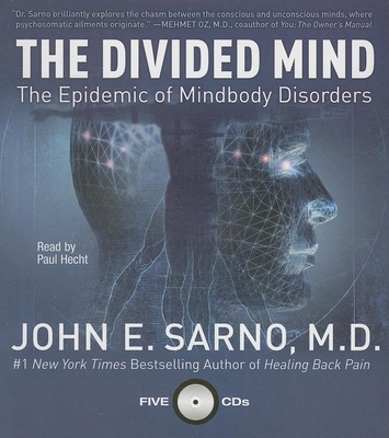 The Divided Mind: The Epidemic of Mindbody Disorders Cover Image