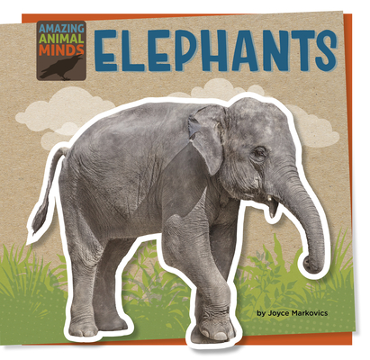 Elephants (Amazing Animal Minds)