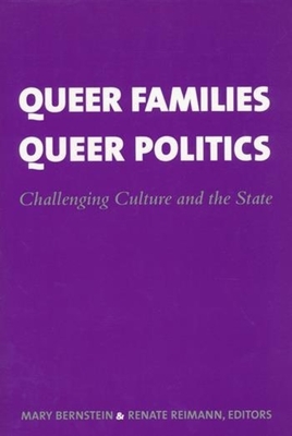 Queer Families, Queer Politics: Challenging Culture and the State (Between Men-Between Women: Lesbian and Gay Studies) Cover Image