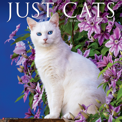 Just Cats 2024 12 X 12 Wall Calendar Cover Image