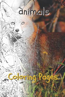 jackal coloring page