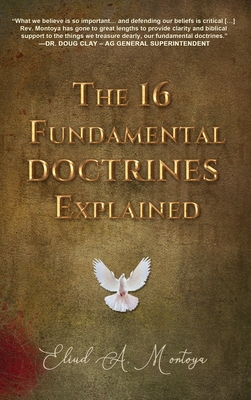 The 16 Fundamental Doctrines Explained Cover Image