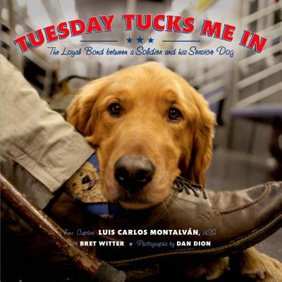 Cover for Tuesday Tucks Me In