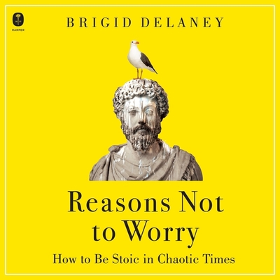 Reasons Not to Worry: How to Be Stoic in Chaotic Times Cover Image