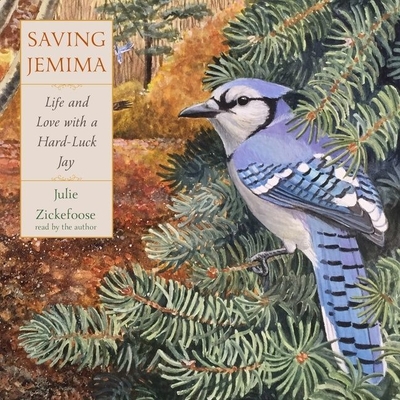 Saving Jemima: Life and Love with a Hard-Luck Jay Cover Image