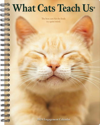 What Cats Teach Us 2024 6.5 X 8.5 Engagement Calendar Cover Image