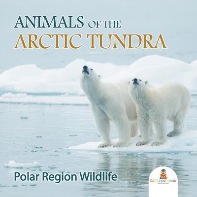 Animals of the Arctic Tundra: Polar Region Wildlife By Baby Professor Cover Image