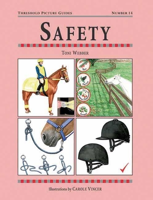 Safety (Threshold Picture Guides #14)