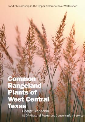 Common Rangeland Plants of West Central Texas By George Clendenin Cover Image