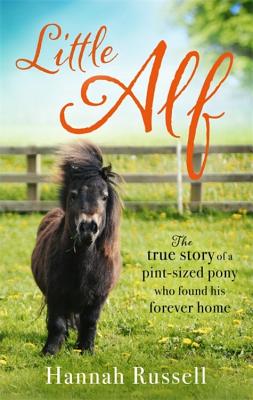 Little Alf: The true story of a pint-sized pony who found his forever home Cover Image