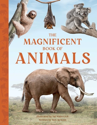 The Magnificent Book of Animals By Tom Jackson, Val Walerczuk (Illustrator) Cover Image