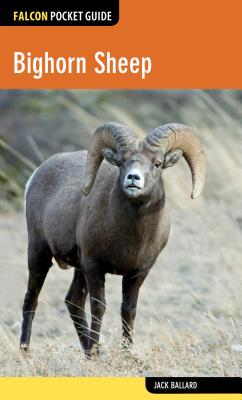Bighorn Sheep (Falcon Pocket Guides)