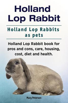 Holland lop hot sale care