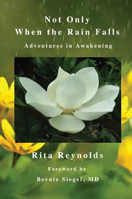 Not Only When The Rain Falls: Adventures in Awakening Cover Image