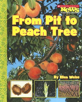 From Pit to Peach Tree (Scholastic News Nonfiction Readers: How Things Grow)