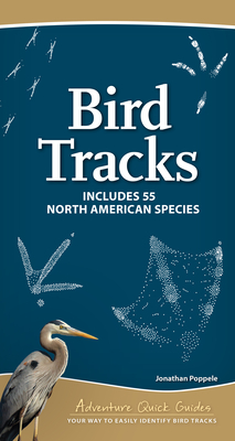 Bird Tracks: Includes 55 North American Species (Adventure Quick Guides) By Jonathan Poppele Cover Image