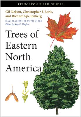 Trees of Eastern North America (Princeton Field Guides #93)