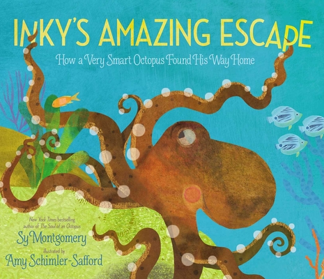 Inky's Amazing Escape: How a Very Smart Octopus Found His Way Home By Sy Montgomery, Amy Schimler-Safford (Illustrator) Cover Image