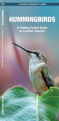 Hummingbirds: A Folding Pocket Guide to Familiar Species (Pocket Naturalist Guide)