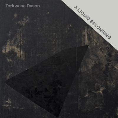 Torkwase Dyson: A Liquid Belonging By Torkwase Dyson (Artist) Cover Image