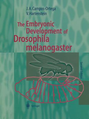 The Embryonic Development of Drosophila Melanogaster By Jose A. Campos-Ortega, Volker Hartenstein Cover Image