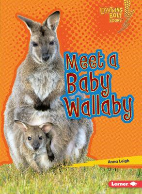 Meet a Baby Wallaby By Anna Leigh Cover Image