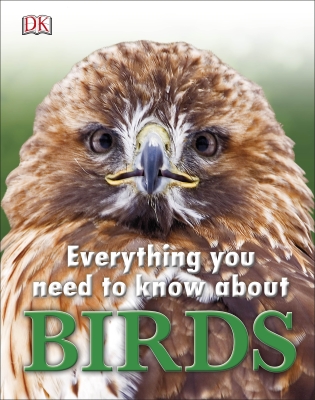 Cover for Everything You Need to Know about Birds