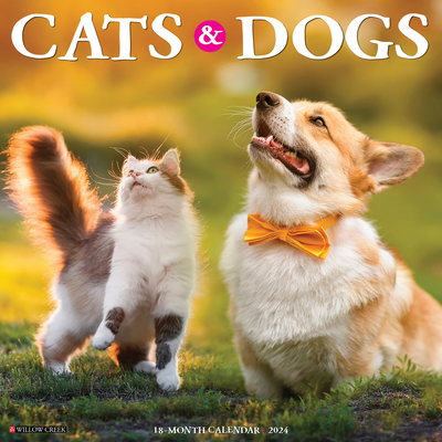 Cats & Dogs 2024 12 X 12 Wall Calendar Cover Image