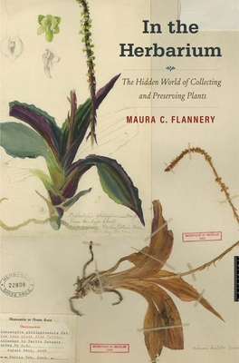 In the Herbarium: The Hidden World of Collecting and Preserving Plants By Maura C. Flannery Cover Image
