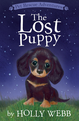 The Lost Puppy (Pet Rescue Adventures) By Holly Webb, Sophy Williams (Illustrator) Cover Image