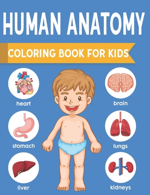 Download Human Anatomy Coloring Book For Kids An Entertaining And Instructive Guide To The Human Body Bones Muscles Blood Nerves And How They Work Coloring Paperback Brain Lair Books