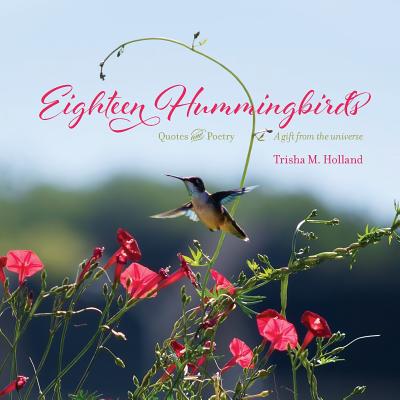 Eighteen Hummingbirds By Trisha M. Holland Cover Image