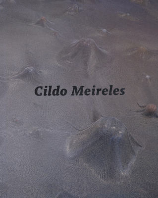 Cildo Meireles By Guy Brett (Editor), Moacir Dos Anjos (Essay by), Okwui Enwezor (Essay by) Cover Image