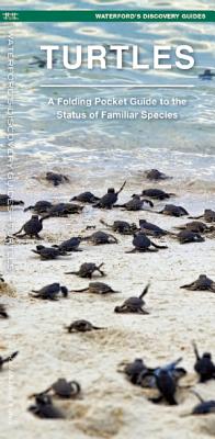 Turtles: A Folding Pocket Guide to Familiar & Unique Species Worldwide Cover Image