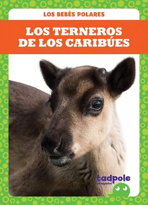 Los Terneros de Los Caribues (Caribou Calves) By Genevieve Nilsen Cover Image