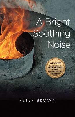 Cover for A Bright Soothing Noise (Katherine Anne Porter Prize in Short Fiction #9)