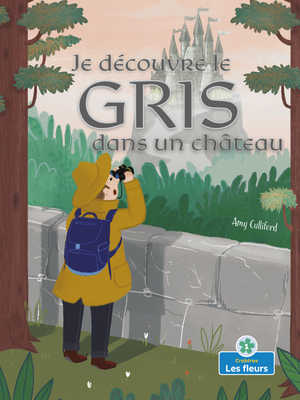 Je Découvre Le Gris Dans Un Château (I Spy Gray in a Castle) Cover Image