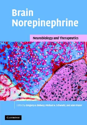 Brain Norepinephrine cover