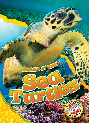 Sea Turtles (Animals at Risk) By Rachel Grack Cover Image