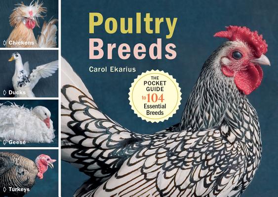 Poultry Breeds: Chickens, Ducks, Geese, Turkeys: The Pocket Guide to 104 Essential Breeds By Carol Ekarius Cover Image