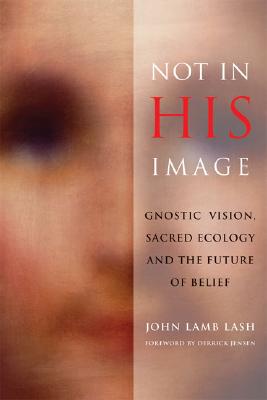 Not in His Image: Gnostic Vision, Sacred Ecology, and the Future of Belief Cover Image