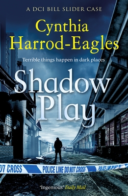 Shadow Play (Bill Slider Mysteries #20)