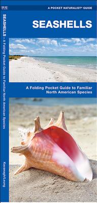 Seashells: A Folding Pocket Guide to Familiar North American Species By James Kavanagh, Waterford Press Cover Image