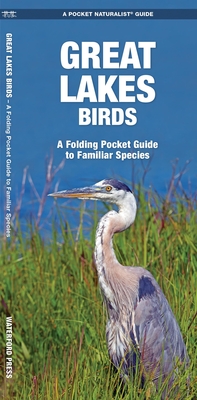 Great Lakes Birds: An Introduction to Familiar Species Cover Image