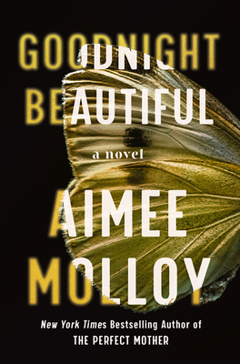 Cover Image for Goodnight Beautiful: A Novel