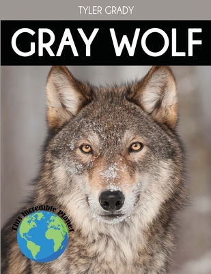 Gray Wolf: Fascinating Animal Facts for Kids (Paperback) | Rainy Day Books