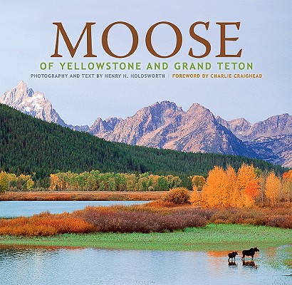 Moose Of Yellowstone And Grand Teton Hardcover The
