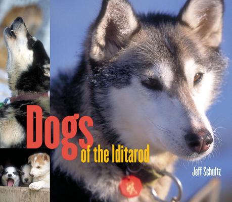 Dogs of the Iditarod Cover Image